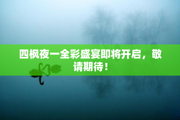 四枫夜一全彩盛宴即将开启，敬请期待！