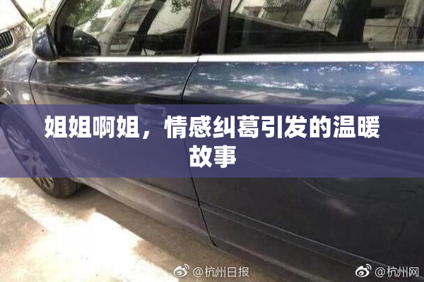姐姐啊姐，情感纠葛引发的温暖故事
