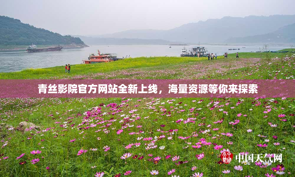 青丝影院官方网站全新上线，海量资源等你来探索