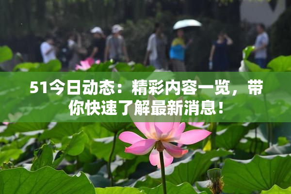 51今日动态：精彩内容一览，带你快速了解最新消息！