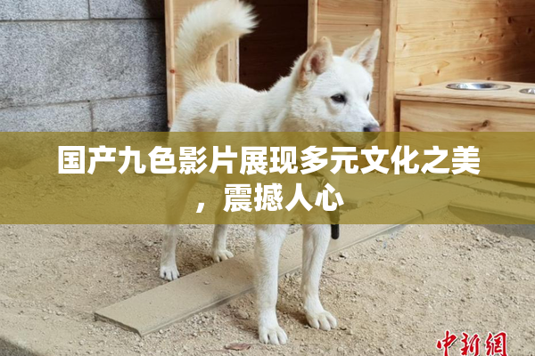 国产九色影片展现多元文化之美，震撼人心