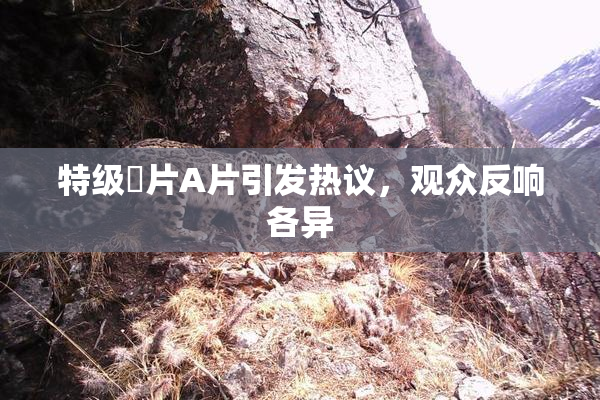 特级婬片A片引发热议，观众反响各异