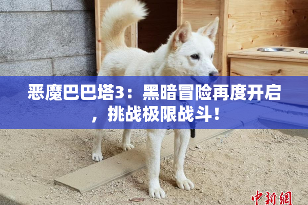 恶魔巴巴塔3：黑暗冒险再度开启，挑战极限战斗！