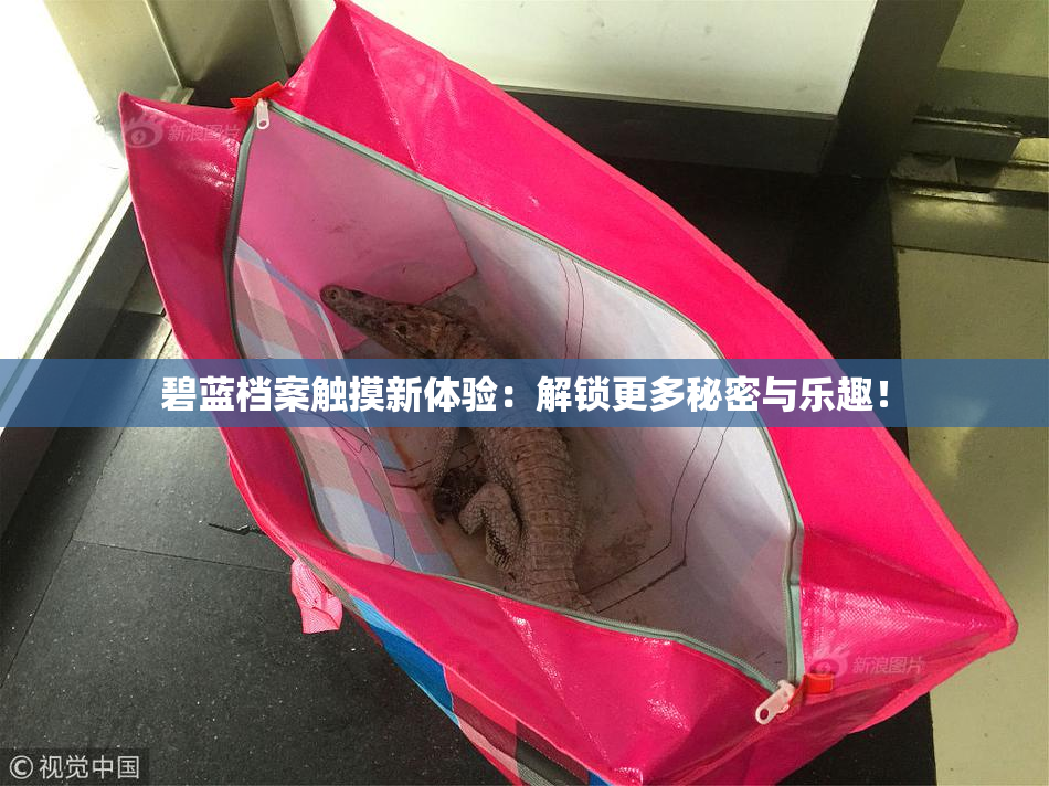 碧蓝档案触摸新体验：解锁更多秘密与乐趣！