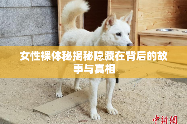 女性裸体秘揭秘隐藏在背后的故事与真相
