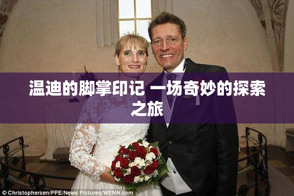 温迪的脚掌印记 一场奇妙的探索之旅