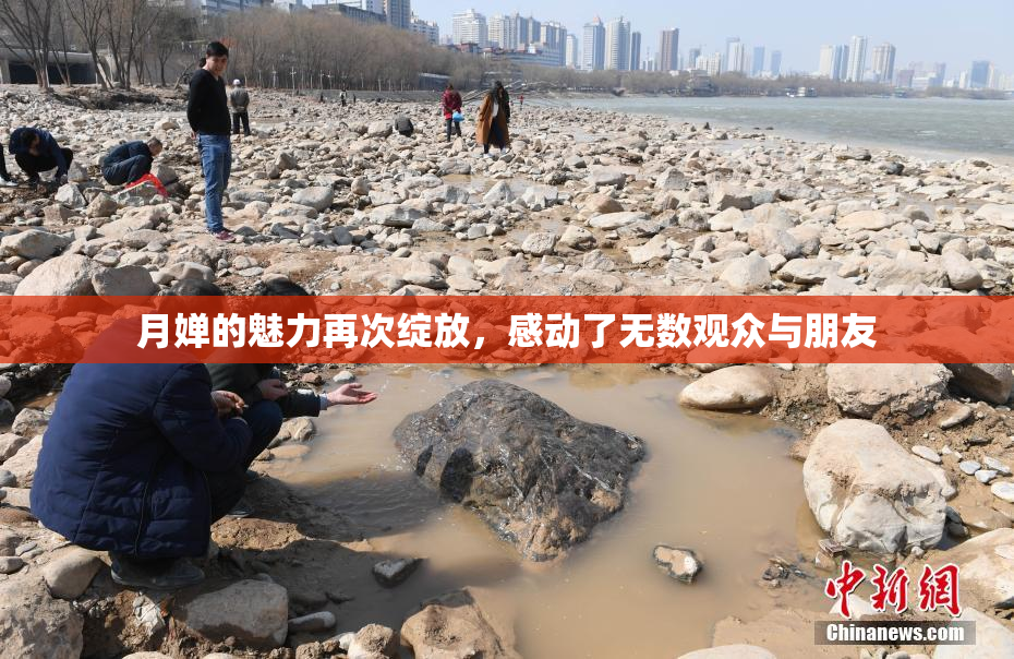 月婵的魅力再次绽放，感动了无数观众与朋友