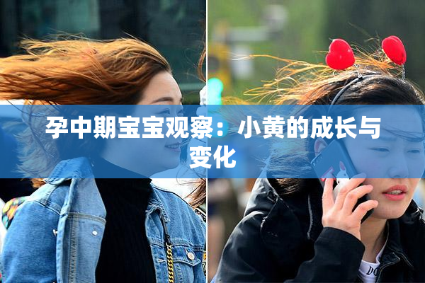 孕中期宝宝观察：小黄的成长与变化