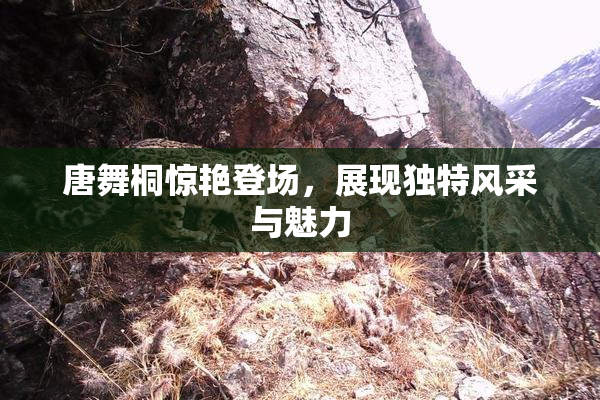 唐舞桐惊艳登场，展现独特风采与魅力