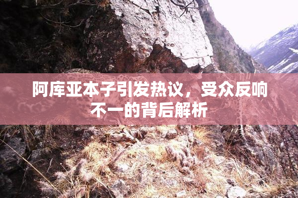 阿库亚本子引发热议，受众反响不一的背后解析
