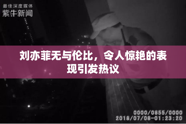 刘亦菲无与伦比，令人惊艳的表现引发热议