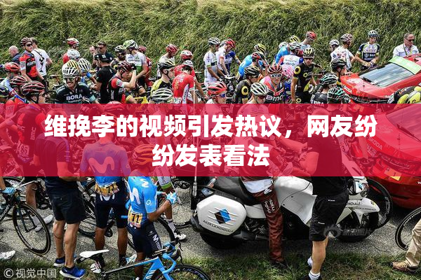 维挽李的视频引发热议，网友纷纷发表看法