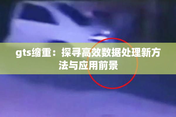 gts缩重：探寻高效数据处理新方法与应用前景