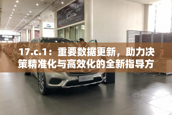 17.c.1：重要数据更新，助力决策精准化与高效化的全新指导方案出台