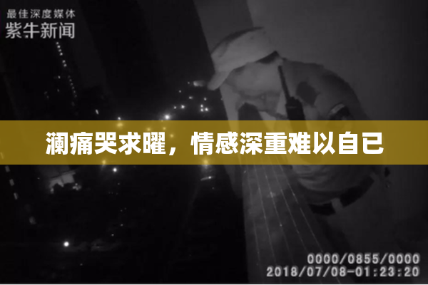 澜痛哭求曜，情感深重难以自已