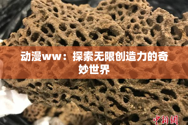 动漫ww：探索无限创造力的奇妙世界
