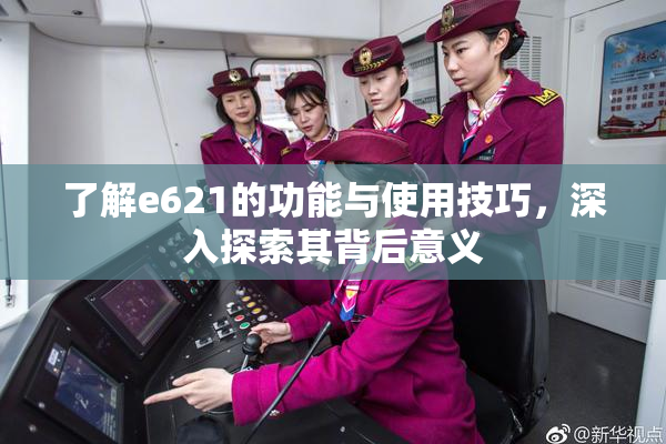了解e621的功能与使用技巧，深入探索其背后意义