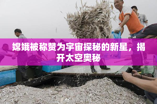 嫦娥被称赞为宇宙探秘的新星，揭开太空奥秘