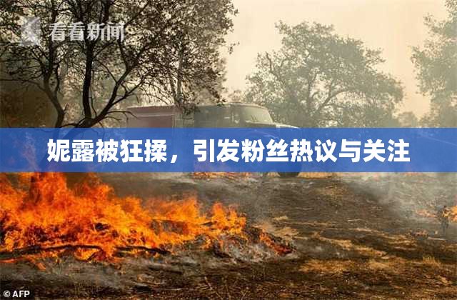 妮露被狂揉，引发粉丝热议与关注