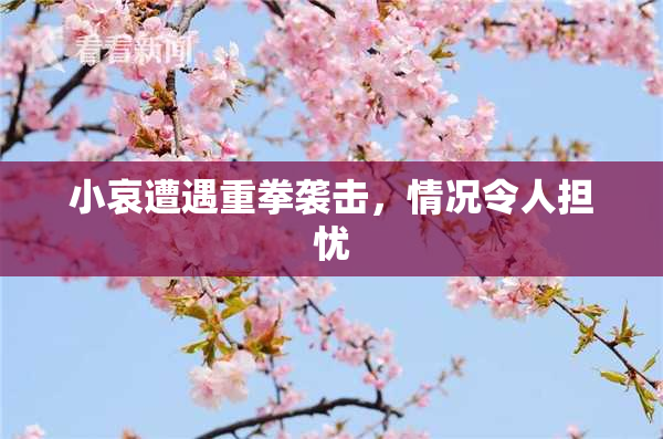 小哀遭遇重拳袭击，情况令人担忧