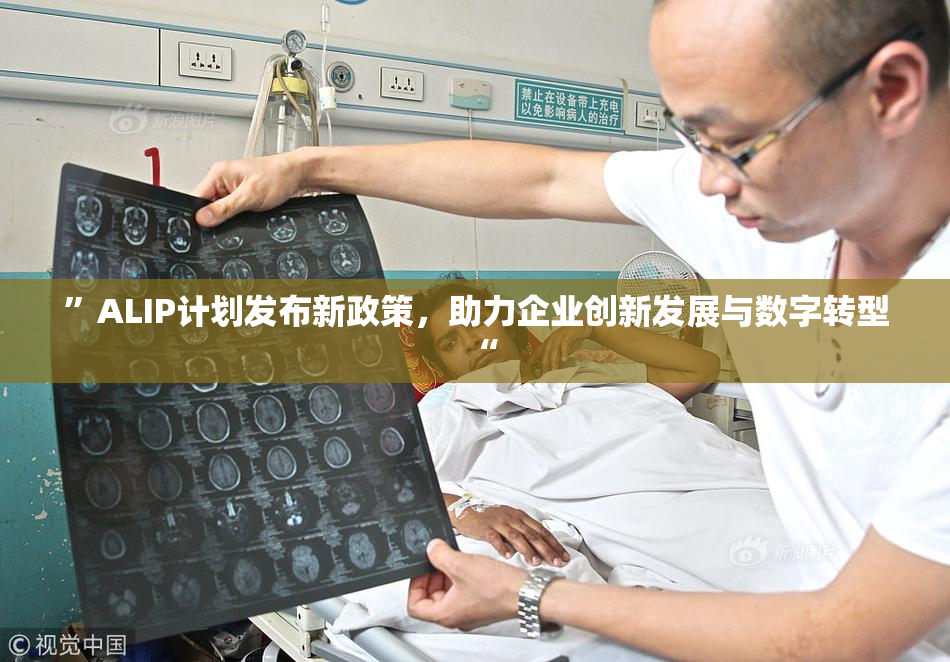 ”ALIP计划发布新政策，助力企业创新发展与数字转型“