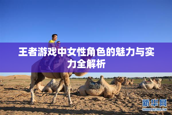 王者游戏中女性角色的魅力与实力全解析
