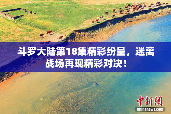 斗罗大陆第18集精彩纷呈，迷离战场再现精彩对决！
