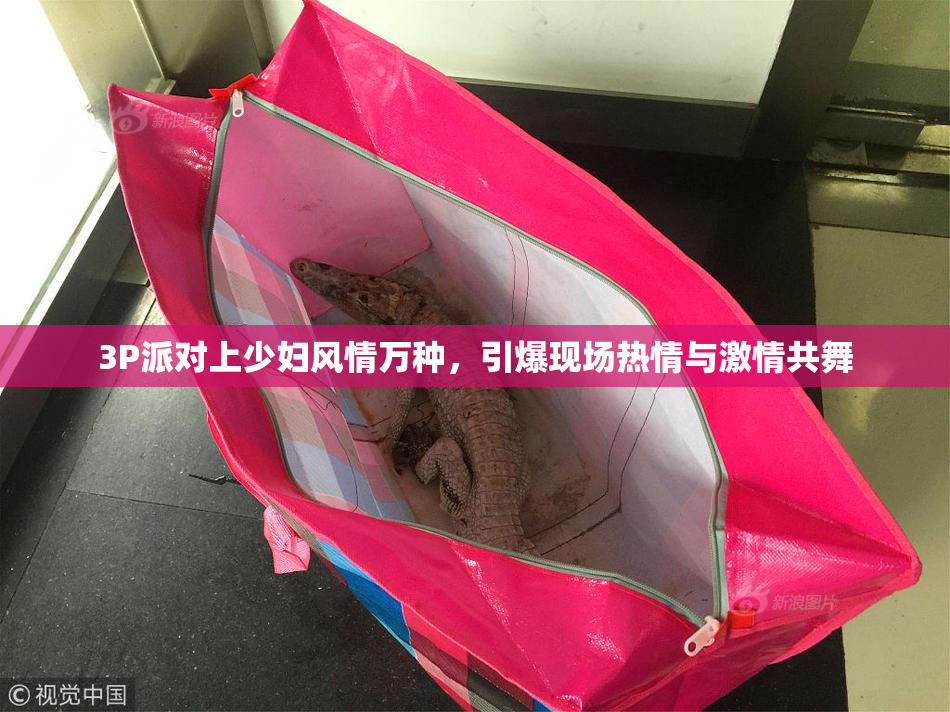 3P派对上少妇风情万种，引爆现场热情与激情共舞