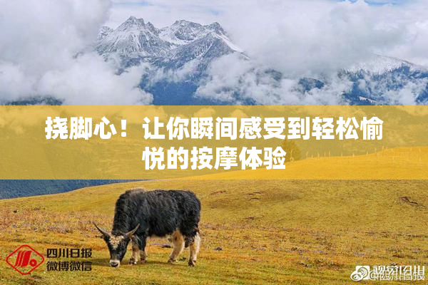 挠脚心！让你瞬间感受到轻松愉悦的按摩体验