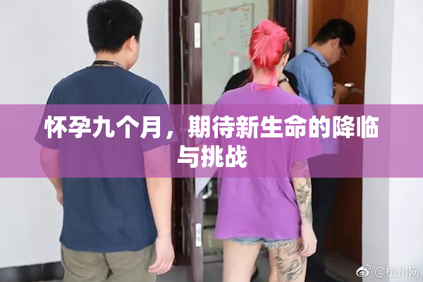 怀孕九个月，期待新生命的降临与挑战