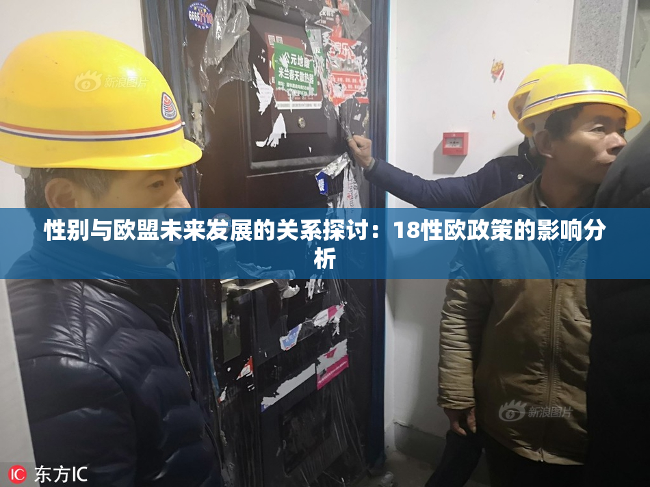 性别与欧盟未来发展的关系探讨：18性欧政策的影响分析