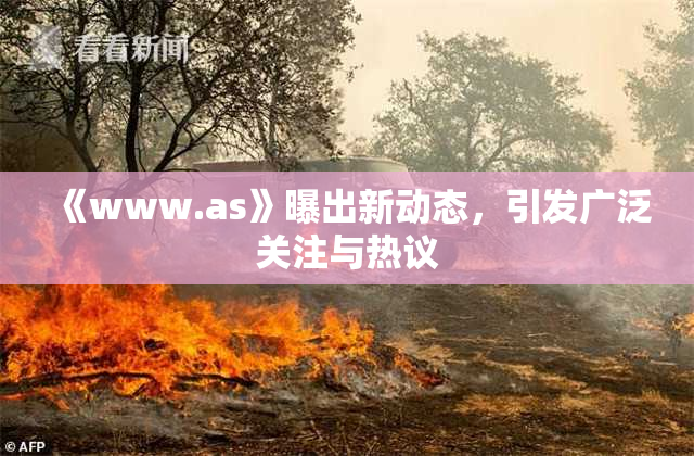 《www.as》曝出新动态，引发广泛关注与热议