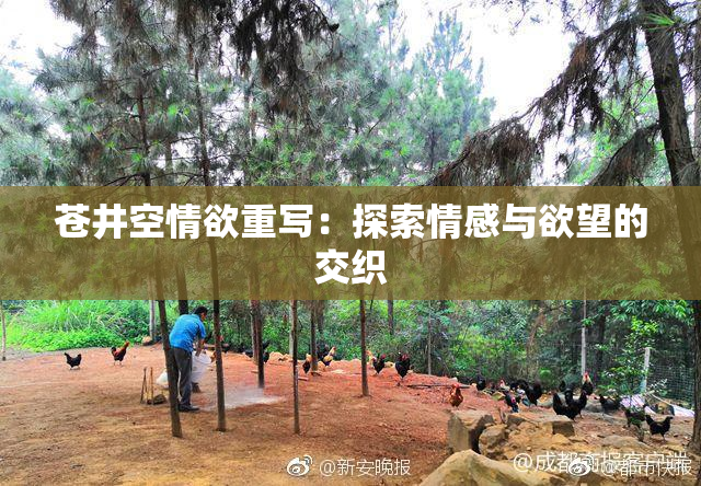 苍井空情欲重写：探索情感与欲望的交织