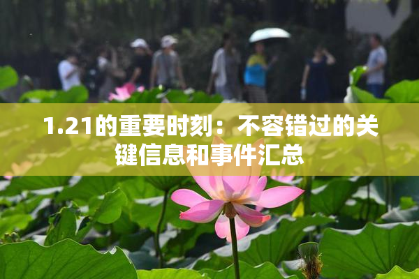 1.21的重要时刻：不容错过的关键信息和事件汇总