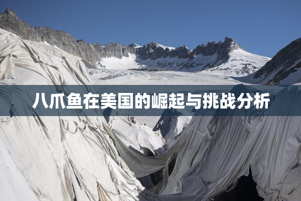 八爪鱼在美国的崛起与挑战分析