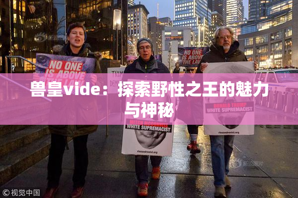 兽皇vide：探索野性之王的魅力与神秘