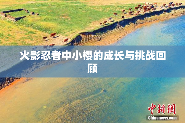 火影忍者中小樱的成长与挑战回顾