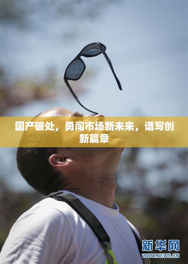 国产破处，勇闯市场新未来，谱写创新篇章