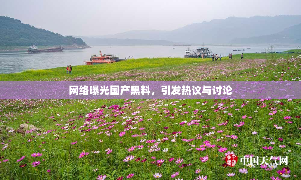 网络曝光国产黑料，引发热议与讨论