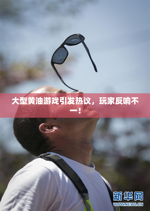 大型黄油游戏引发热议，玩家反响不一！