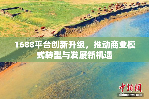 1688平台创新升级，推动商业模式转型与发展新机遇