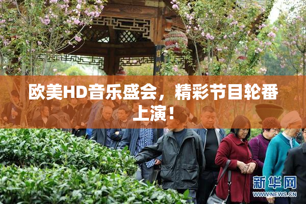 欧美HD音乐盛会，精彩节目轮番上演！