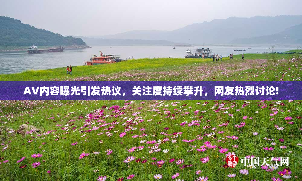 AV内容曝光引发热议，关注度持续攀升，网友热烈讨论!