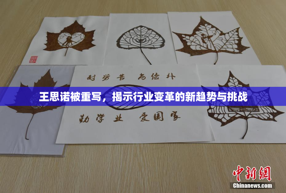 王思诺被重写，揭示行业变革的新趋势与挑战