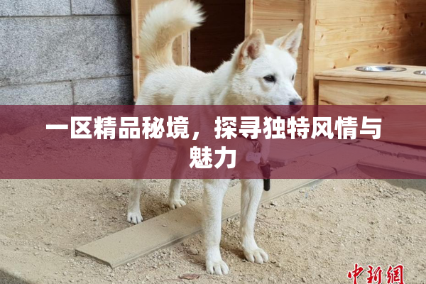 一区精品秘境，探寻独特风情与魅力