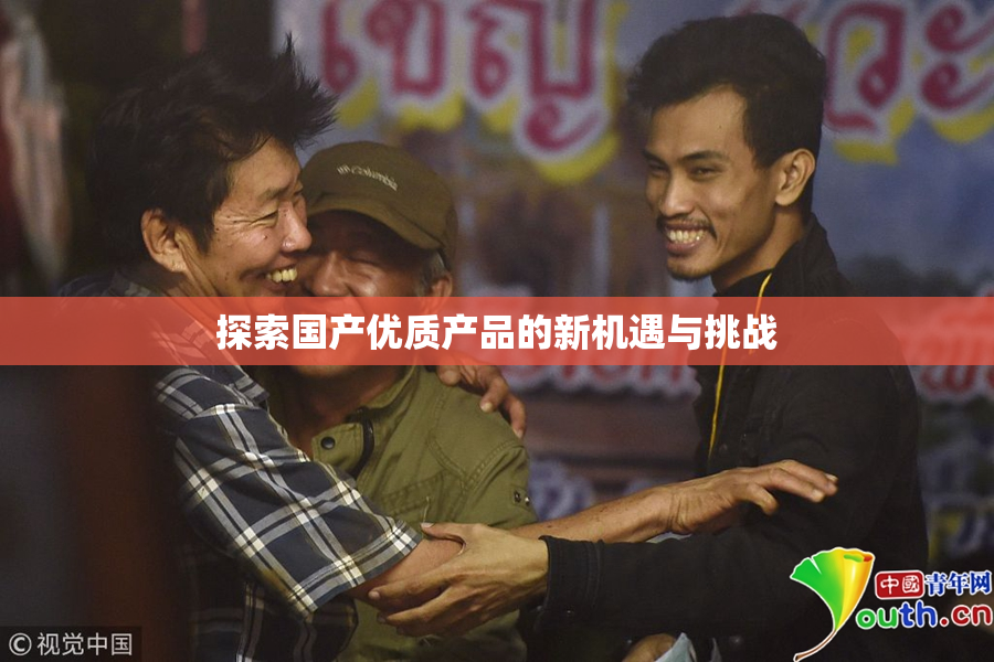 探索国产优质产品的新机遇与挑战