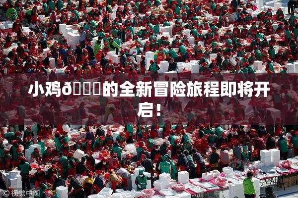 小鸡🐔的全新冒险旅程即将开启！