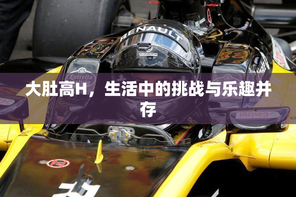 大肚高H，生活中的挑战与乐趣并存