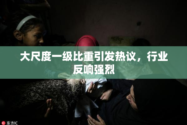 大尺度一级比重引发热议，行业反响强烈
