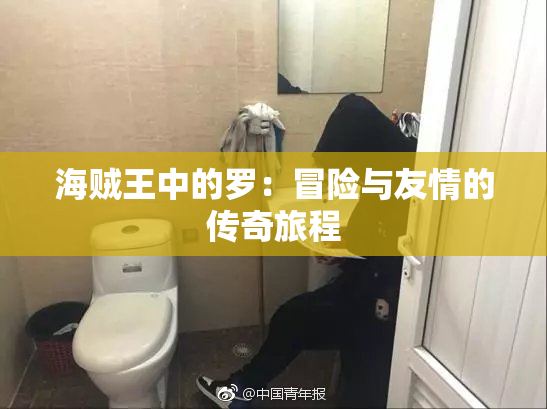 海贼王中的罗：冒险与友情的传奇旅程